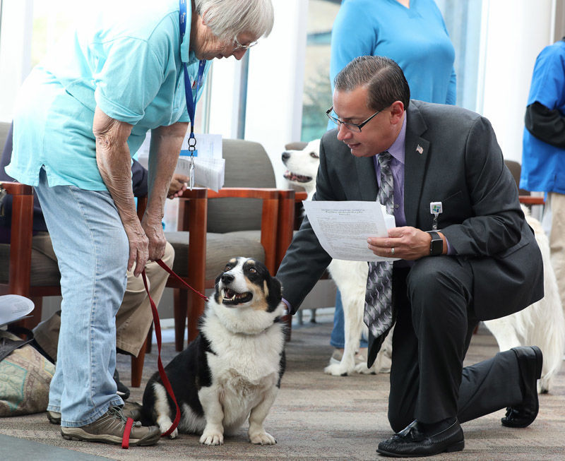 Blessing of the therapy dogs